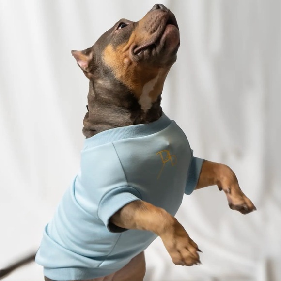 English Bulldog Clothing Pink and Blue - Picture 2 of 3